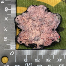 Load image into Gallery viewer, Original WW1 British Cap Badge - Royal Scots Dragoon Guards - The Militaria Shop