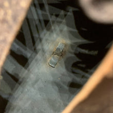 Load image into Gallery viewer, Image #19