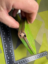 Lade das Bild in den Galerie-Viewer, Image #5