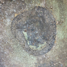 Load image into Gallery viewer, Original WW2 British Army Mk2 "Brodie" Combat Helmet - The Militaria Shop