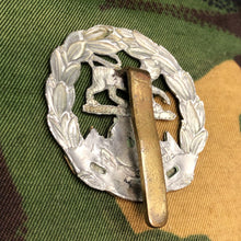 Load image into Gallery viewer, Original British Army WW2 Cap Badge - Hampshire Regiment - The Militaria Shop