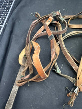 Charger l'image dans la galerie, Image #11