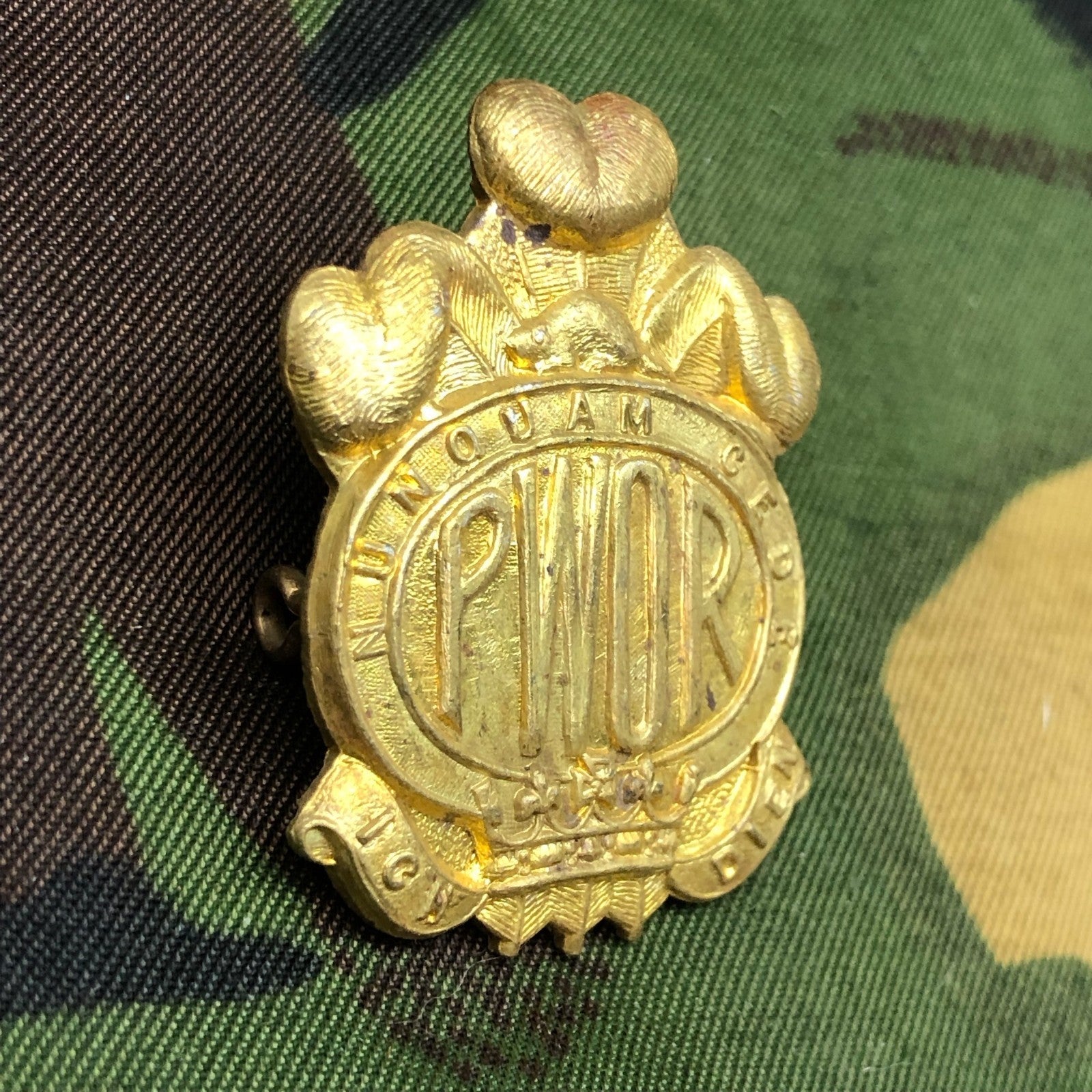 Original British Army Cap Badge - Princess of Wales' Own Regiment - The Militaria Shop