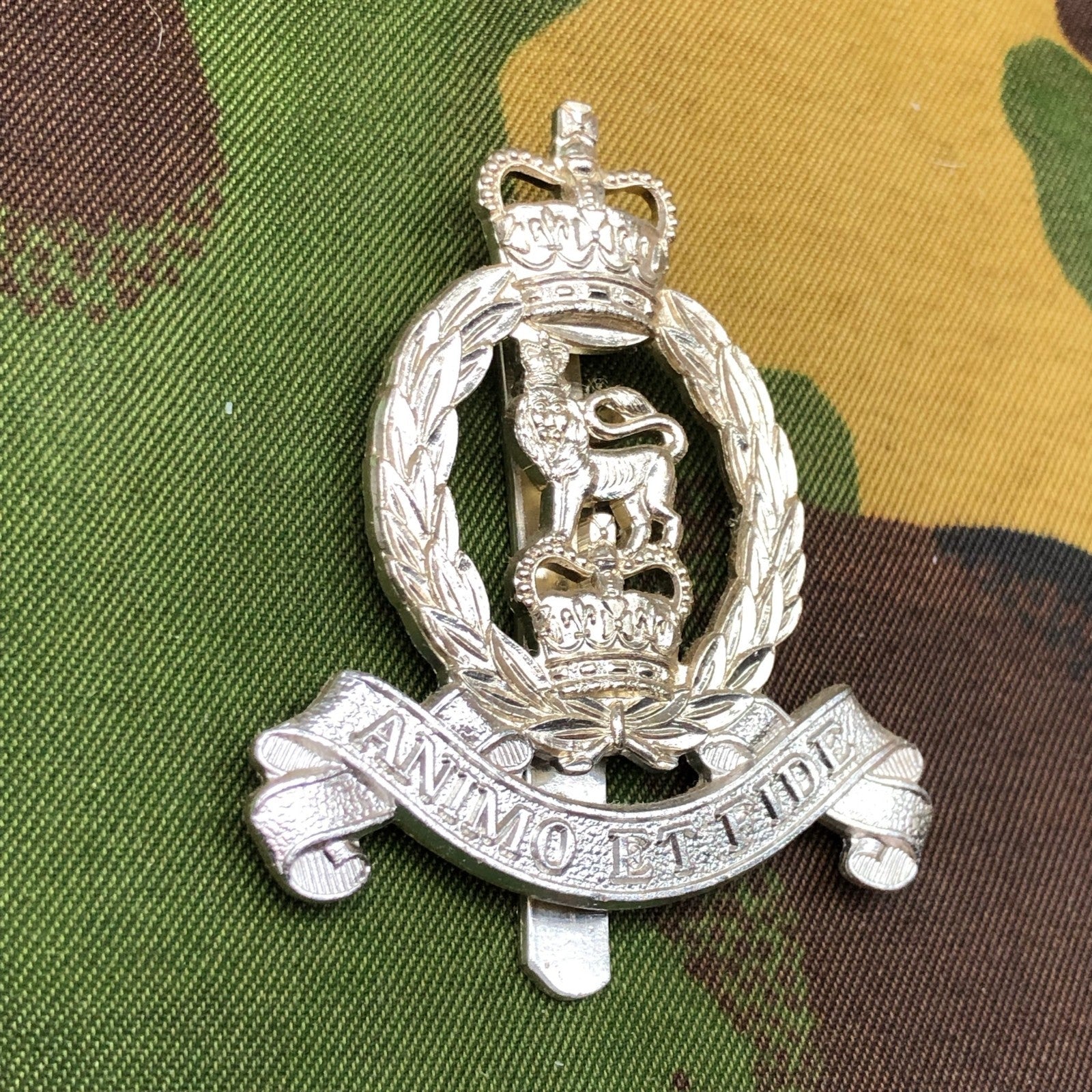 Original British Staybrite Army Cap Badge - Adjutant General's Corps - The Militaria Shop