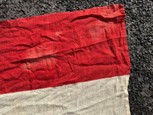 Charger l'image dans la galerie, Image #10