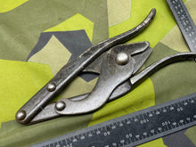 Charger l'image dans la galerie, Image #8