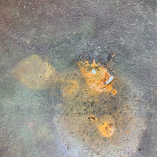 Charger l'image dans la galerie, Image #14