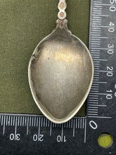 Charger l'image dans la galerie, Image #2