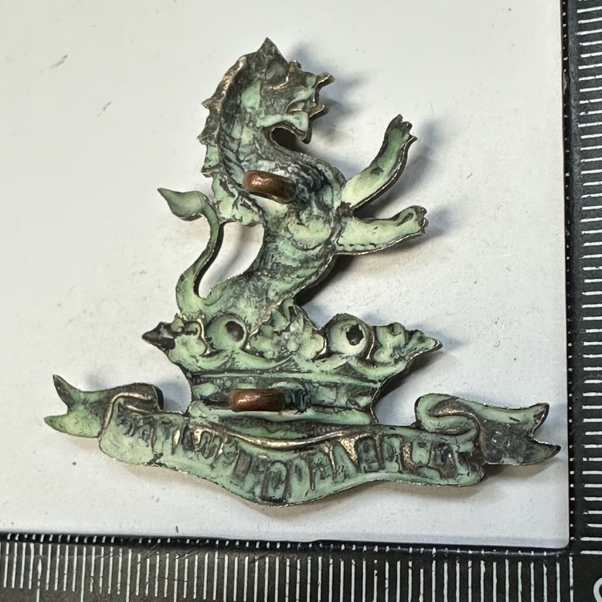 Image #6
