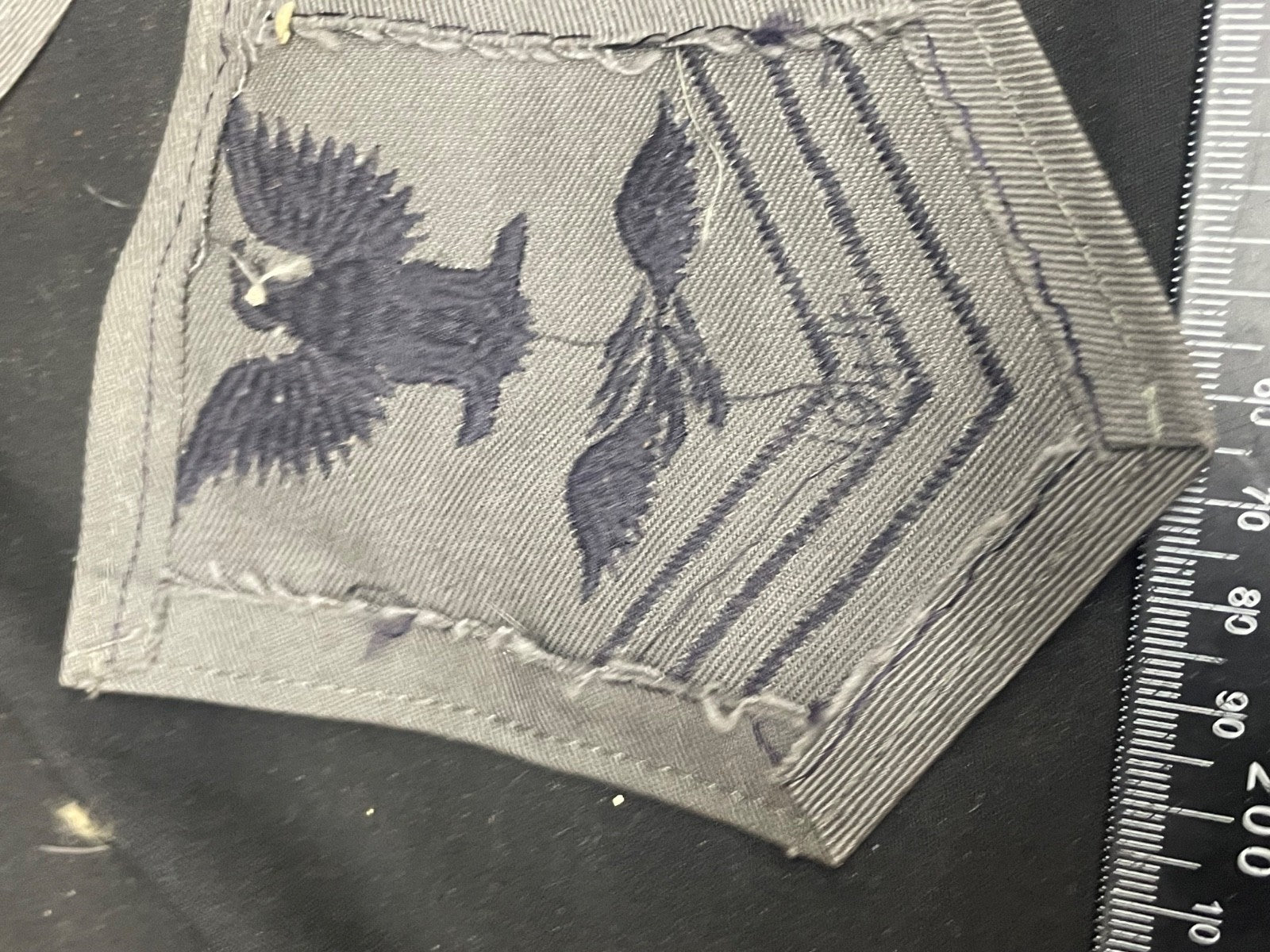 Image #15