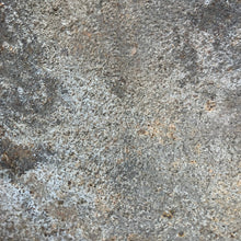 Charger l'image dans la galerie, Image #14