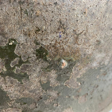 Load image into Gallery viewer, Image #10