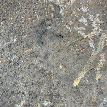 Load image into Gallery viewer, Image #15