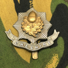 Charger l'image dans la galerie, Image #1