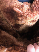 Load image into Gallery viewer, Image #17