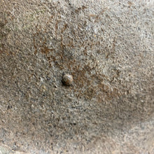 Charger l'image dans la galerie, Image #7