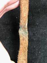 Charger l'image dans la galerie, Image #6