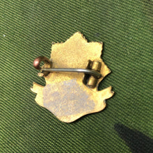 Charger l'image dans la galerie, Image #5