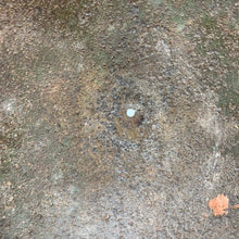 Charger l'image dans la galerie, Image #13