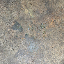 Lade das Bild in den Galerie-Viewer, Image #13