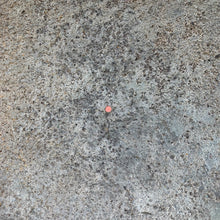 Charger l'image dans la galerie, Image #14