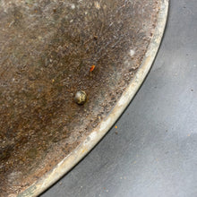 Charger l'image dans la galerie, Original British Army Mk4 Turtle Combat Helmet - The Militaria Shop