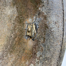 Load image into Gallery viewer, Image #15