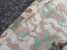 Charger l'image dans la galerie, Image #17