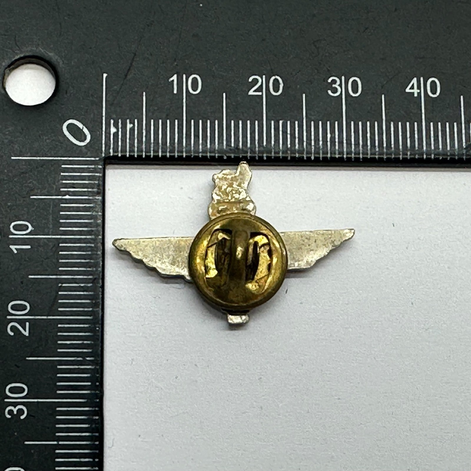 Image #4