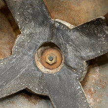 Charger l'image dans la galerie, Image #17