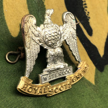 Charger l'image dans la galerie, Image #3