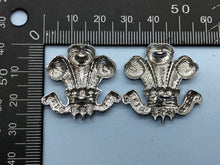 Load image into Gallery viewer, Genuine British Army Wiltshire Yeomanry Collar Badges Set - The Militaria Shop