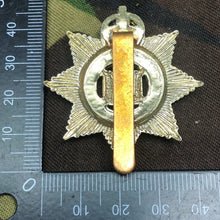 Load image into Gallery viewer, Original British Army The Devonshire Regiment Cap Badge - The Militaria Shop
