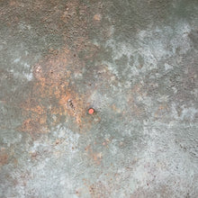 Charger l'image dans la galerie, Image #13