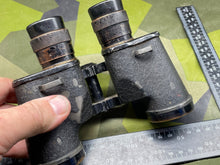 Charger l'image dans la galerie, Image #1