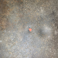 Charger l'image dans la galerie, Image #13