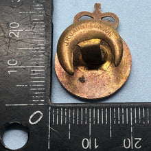 Load image into Gallery viewer, Original British Army Lapel Pin - Civil Defence Corps - The Militaria Shop