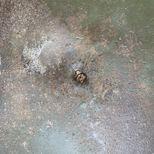 Load image into Gallery viewer, Image #13