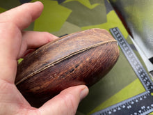 Charger l'image dans la galerie, Image #5