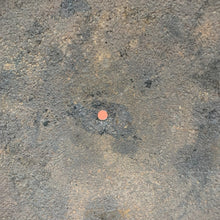 Charger l'image dans la galerie, Image #13