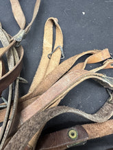 Charger l'image dans la galerie, Image #7