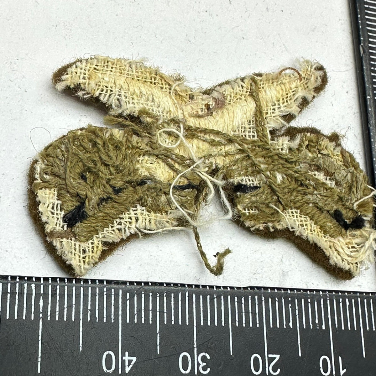 Image #5