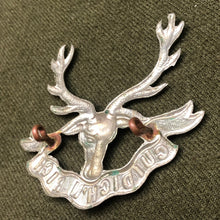 Charger l'image dans la galerie, Image #5