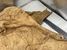 Charger l'image dans la galerie, Image #3