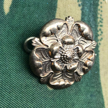 Charger l'image dans la galerie, Image #3