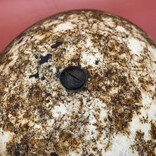 Load image into Gallery viewer, Image #9