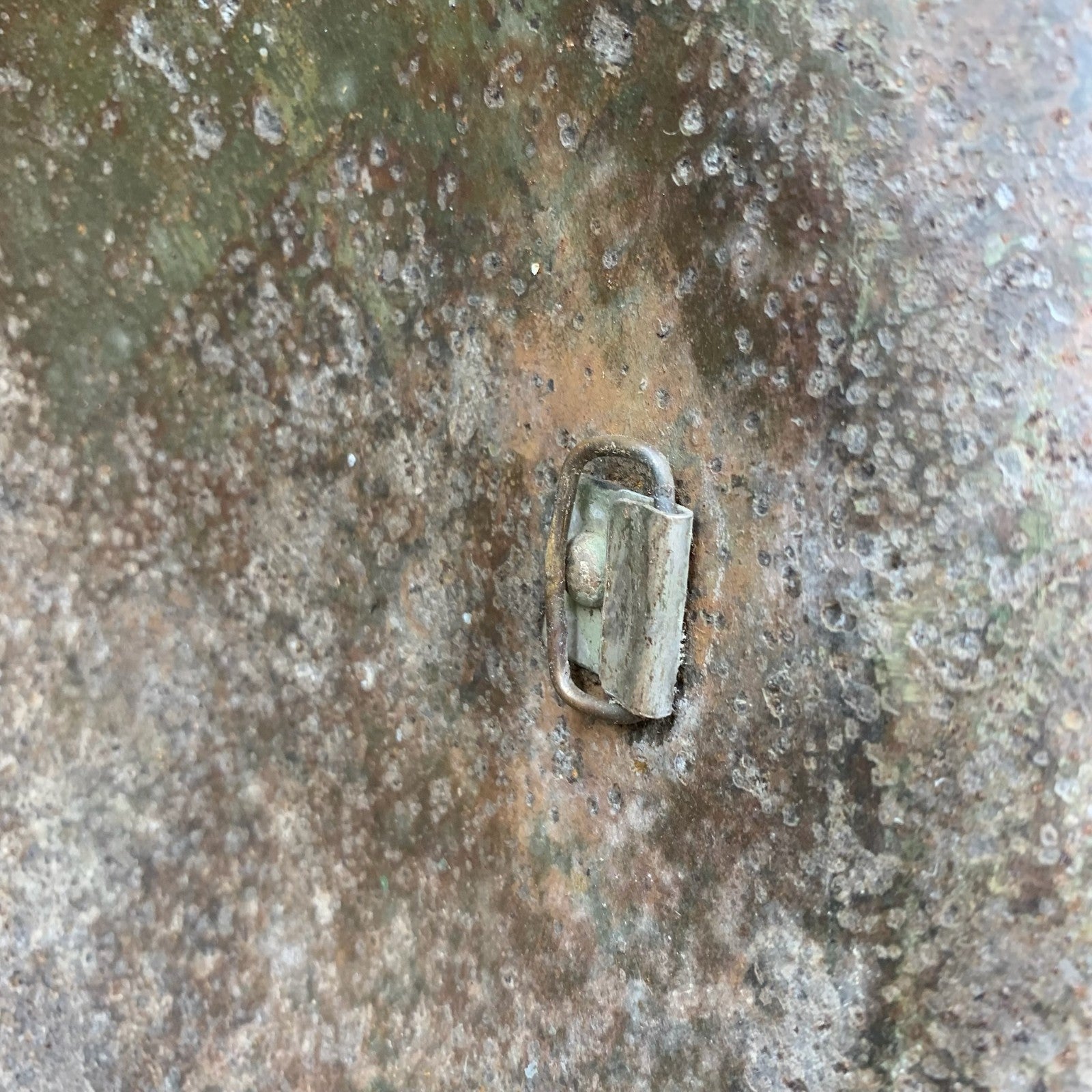 Image #13