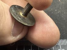 Charger l'image dans la galerie, Image #4