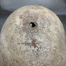 Lade das Bild in den Galerie-Viewer, Image #9