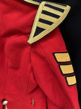 Charger l'image dans la galerie, Image #17